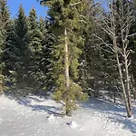 Depandance - Karlov Pod Pradedem Hotell 3*