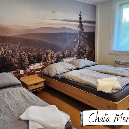 Depandance - Karlov Pod Pradědem Hotel