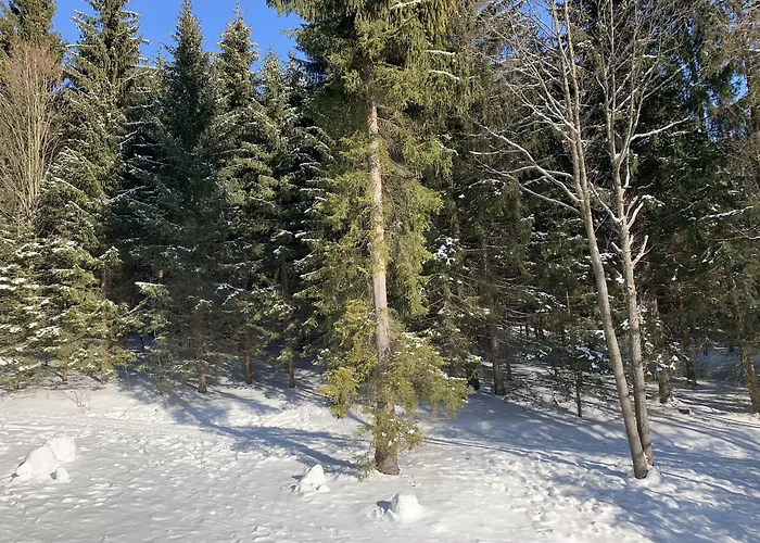 Depandance Hotell 3*