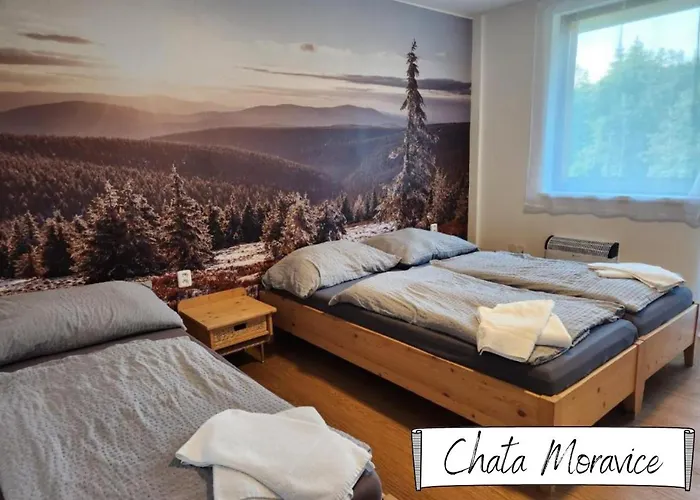 Depandance - Karlov Pod Pradědem Hotel